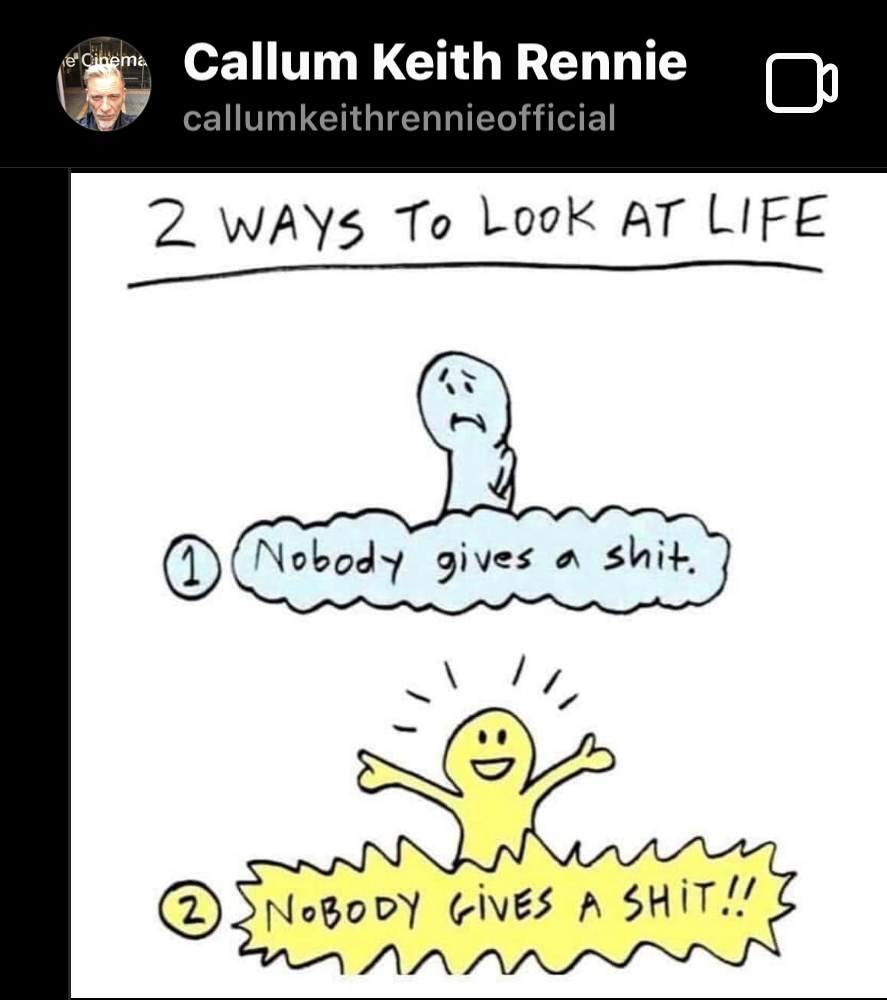 Text at the top reads 2 ways to look at life with two images below.  The top image is of a sad blue cartoon person and it says Nobody gives a shit. The second image is of a happy yellow cartoon person and it says Nobody give a shit!