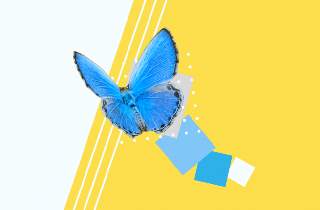 A reimagining of the program image for the 2022 Next Stage Theatre Festival. A blue butterfly flies up towards the left corner of the page.