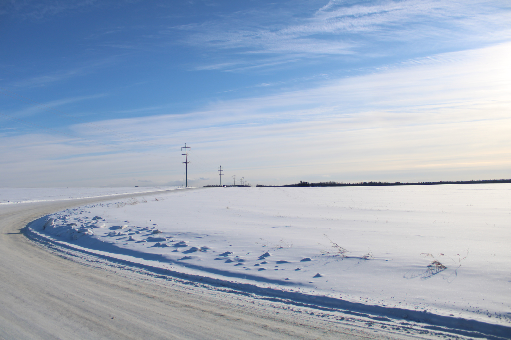 An image of a snowy road outside of Edmonton, AB. The road has been driven on, with snow pushed to the sides, but the snow-covered field is smooth, unmarred by footprints. Telephone poles are visible in the distance.