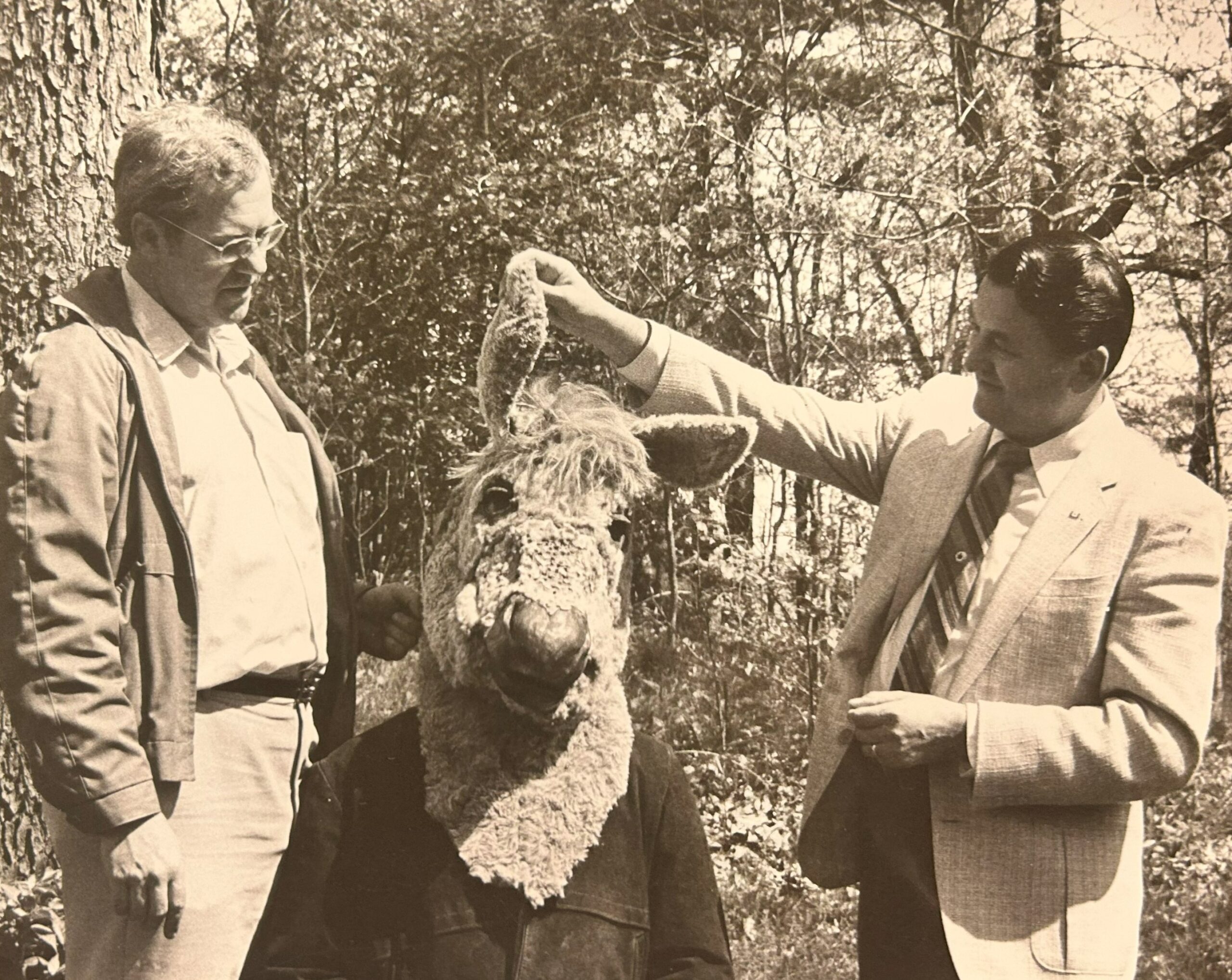 A septia-toned photo of the first ever Dream in High Park Production of William Shakespeare's A Midsummer Night's Dream in 1983. Three performers are pictured, two in shirts and jackets and the third dressed as a donkey. Image courtesy of Canadian Stage.