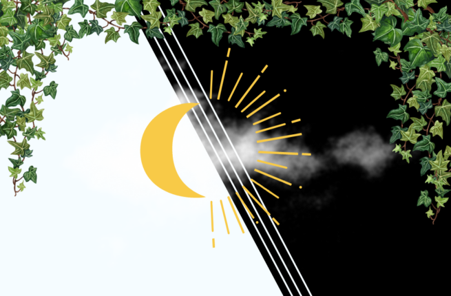 A split black and white background highlights an orangey-yellow crescent moon and sun in the centre of the image. Behind the graphic is a white cloud, and spanning the top of the image is a curtain of green vines and leaves.
