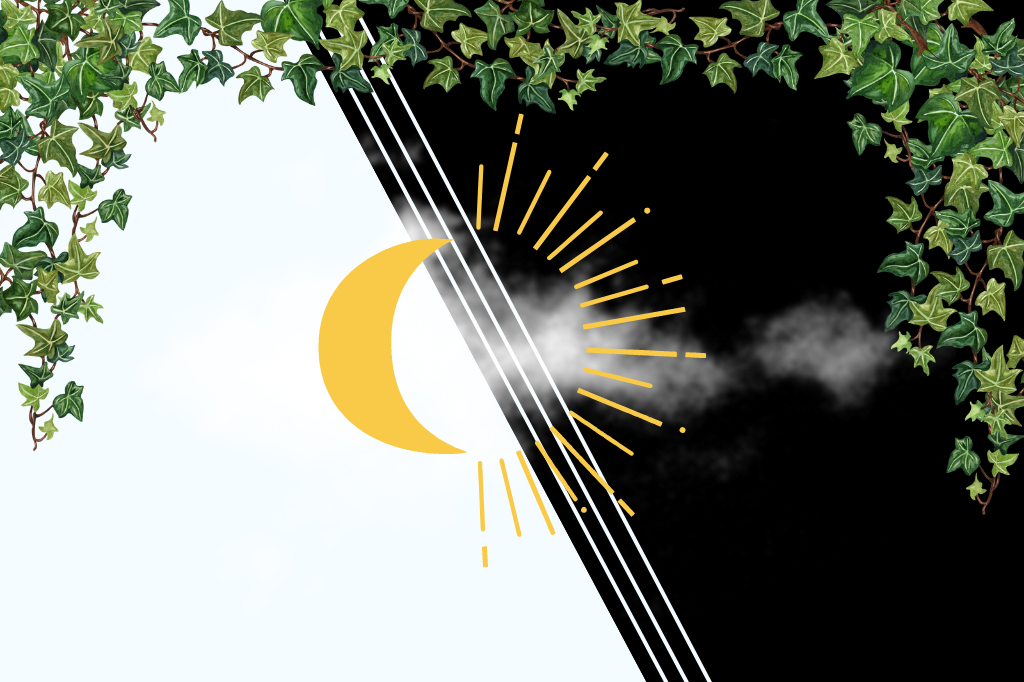 A split black and white background highlights an orangey-yellow crescent moon and sun in the centre of the image. Behind the graphic is a white cloud, and spanning the top of the image is a curtain of green vines and leaves.
