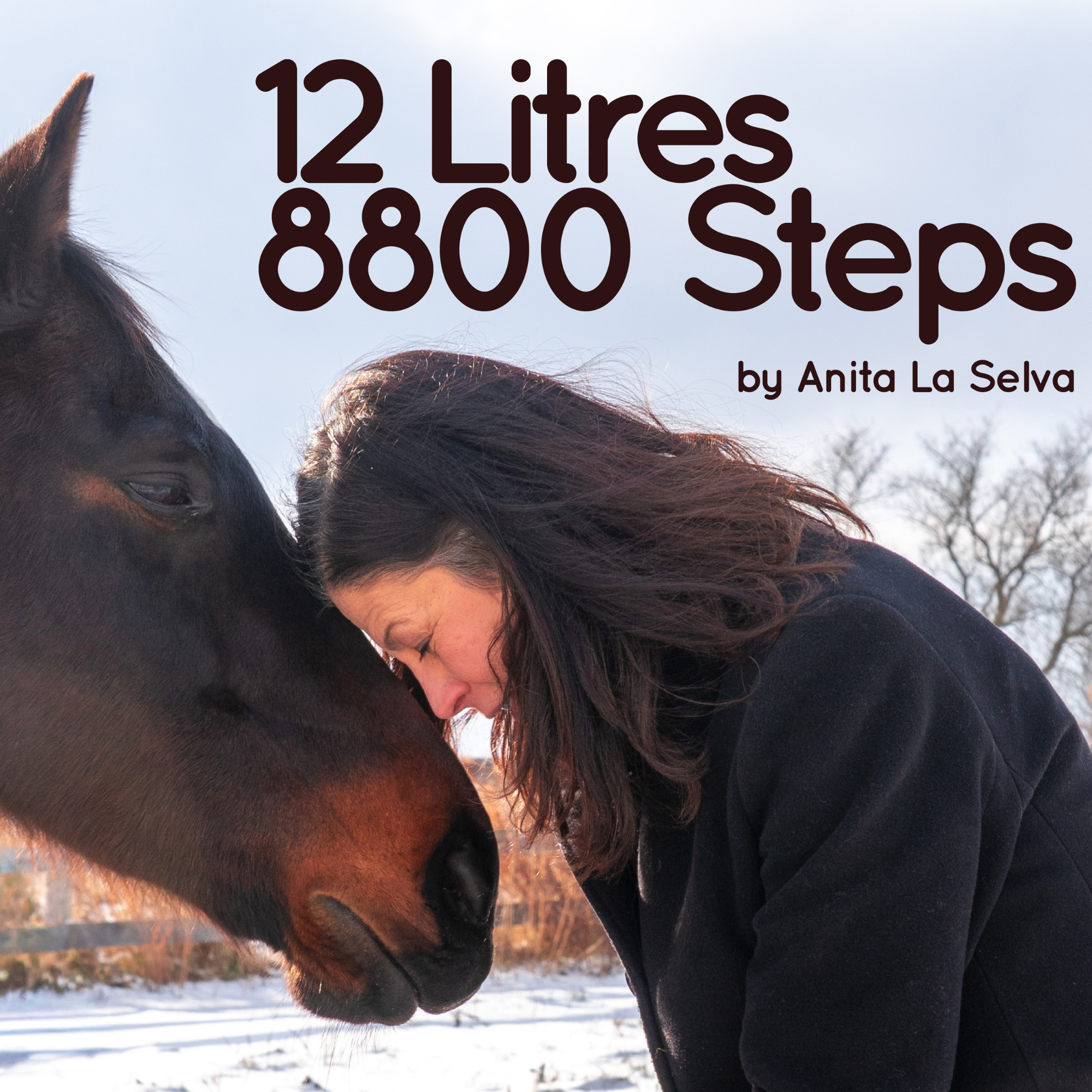 An image of aritist Anita La Selva and horse Spiritwalker facing each other under the sun.