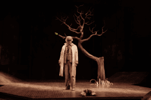 Paul Gross in 'Waiting for Godot.' Photo by David Hou.