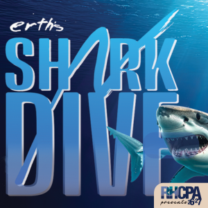 Shark underwater. Text reads: 